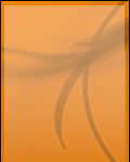 120x600_sk