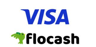 Visa to partner with African payments outfit Flocash